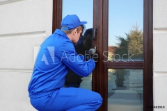 AdobeStock_189681919_Preview